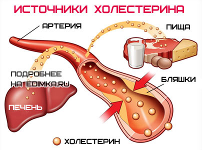 Как снизить уровень холестерина в крови Как снизить уровень холестерина в крови